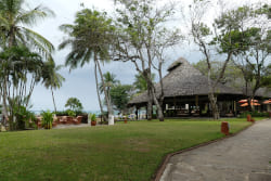 Bar im Baobab Resort